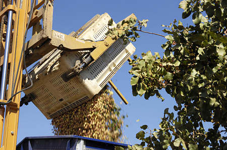 Cargo theft is a tough nut to crack in California