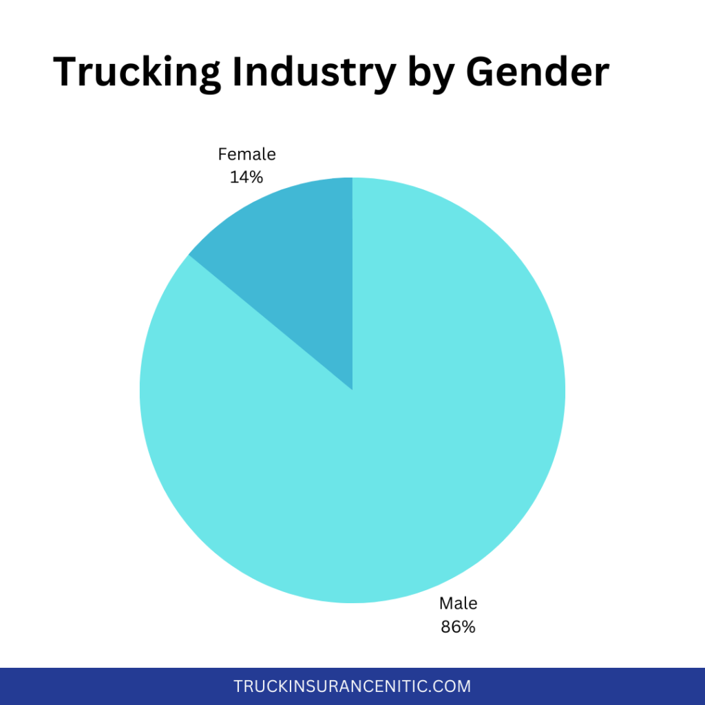Truck Drivers' Age Breakdown
